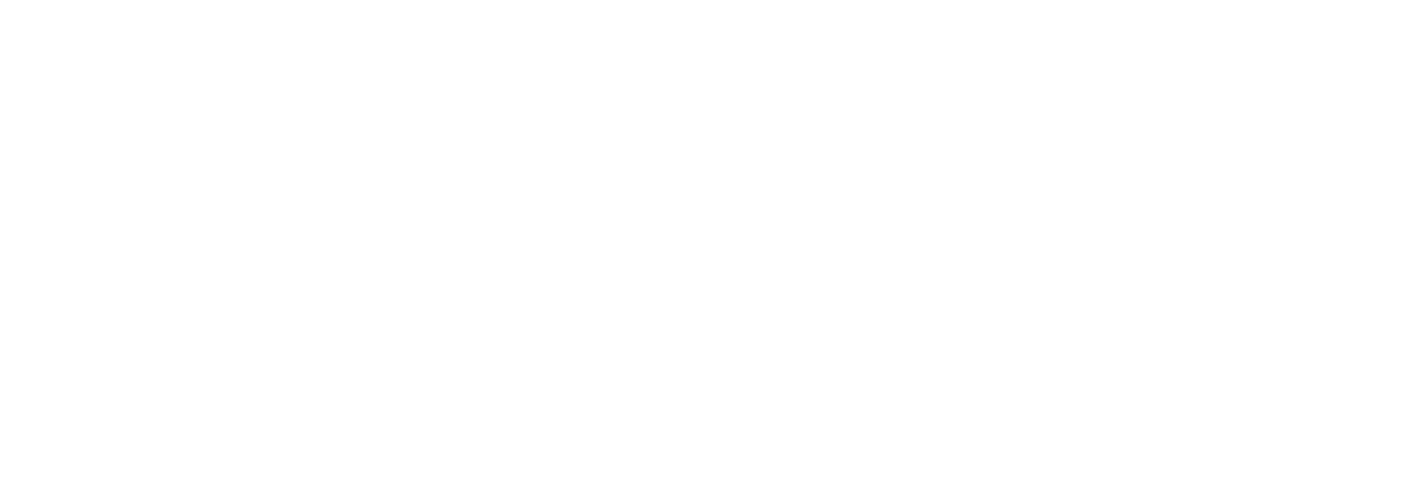 Solo_light_logo_white